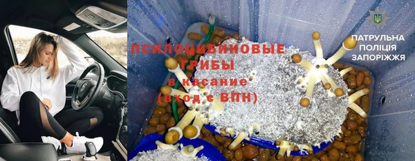 ГАЛЛЮЦИНОГЕННЫЕ ГРИБЫ Саяногорск