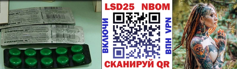 LSD-25 экстази ecstasy  Купить  Каргат 